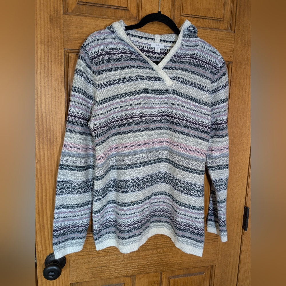 Sweater Hoodie